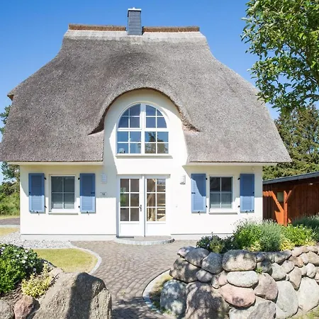 Schilfrohrsaenger 48 Fuhlendorf (Mecklenburg-Vorpommern)