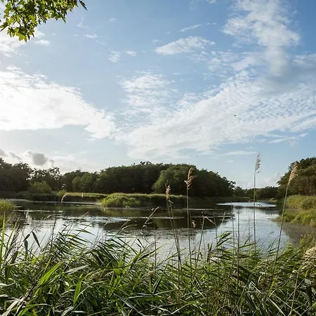 Dom wakacyjny Schilfrohrsaenger 48 Fuhlendorf (Mecklenburg-Vorpommern)