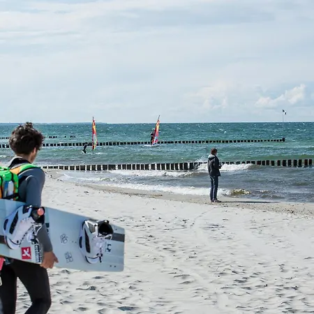 Schilfrohrsaenger 48 Fuhlendorf (Mecklenburg-Vorpommern)