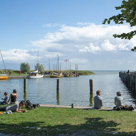 Schilfrohrsaenger 48 * Fuhlendorf (Mecklenburg-Vorpommern)