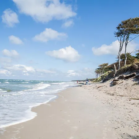 Schilfrohrsaenger 48 * Fuhlendorf (Mecklenburg-Vorpommern)