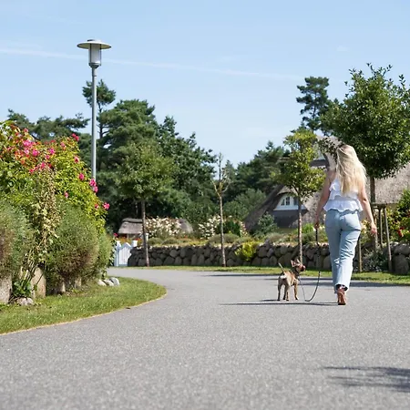 Ferienhaus Schilfrohrsaenger 48 Fuhlendorf (Mecklenburg-Vorpommern)