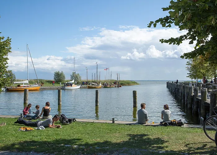 Schilfrohrsaenger 48 * Fuhlendorf (Mecklenburg-Vorpommern)